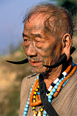 Tusks