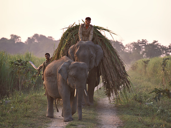 Orissa traffic jam