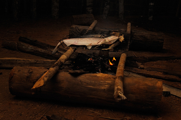 Grilling fish