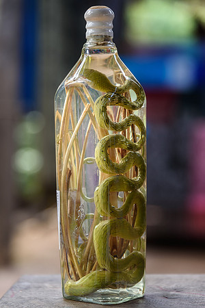 Snake