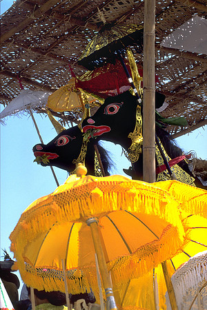 Brahmin Cremation