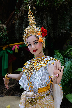 Miss Prowrave