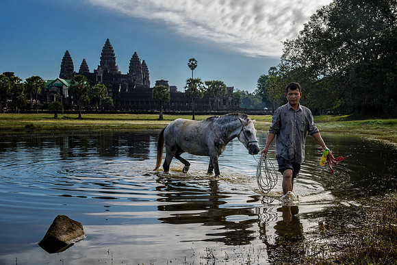 Pond and horse