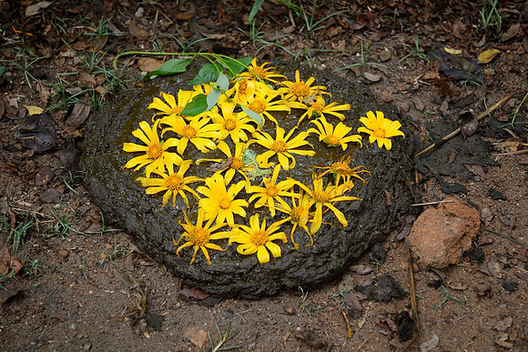Decoration
