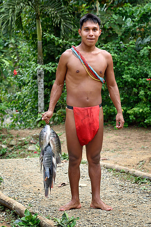 Tilapia