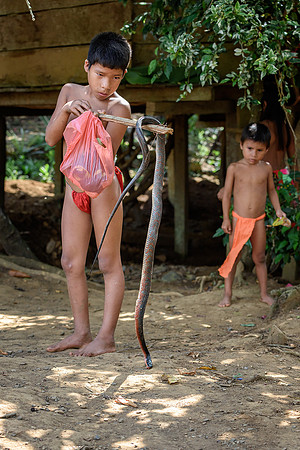 Playing with a snake