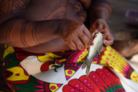 Cleaning fish