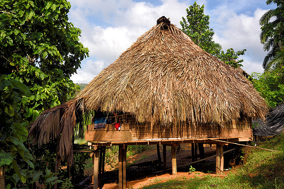 Houses