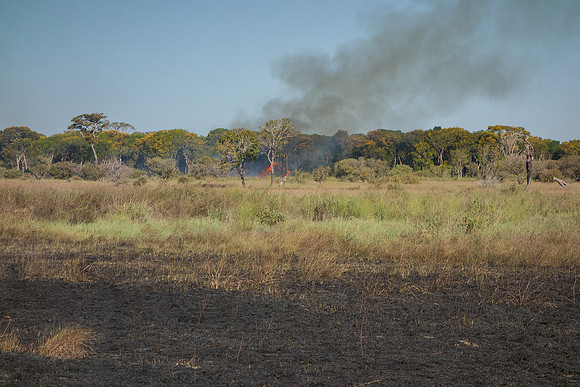 Fires