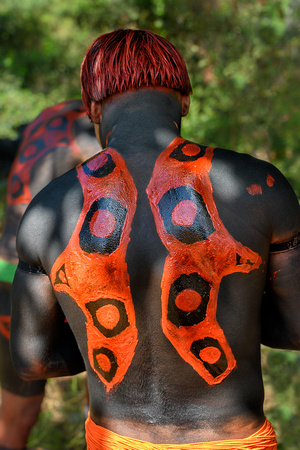 Painted back