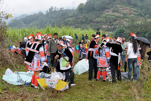 Festival