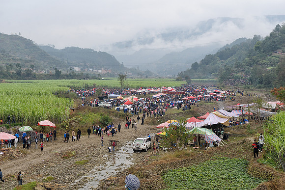 Festival grounds