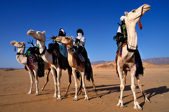 Four riders