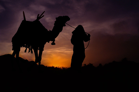 Tuareg and camel