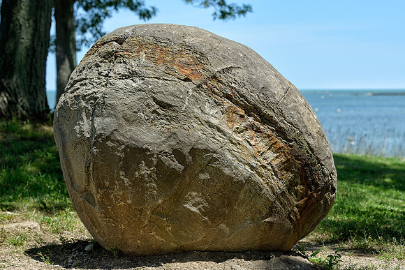 Thunderbird egg