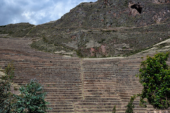 Agricultural terraces
