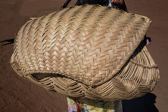 Buriti Fiber