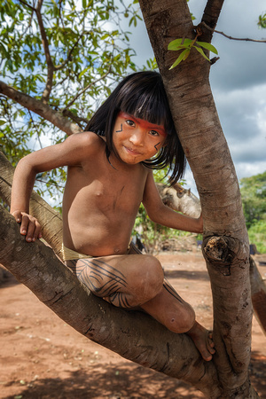 Playing in tree