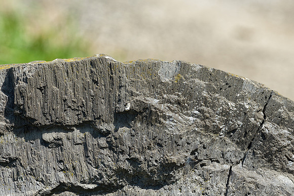 Sediment