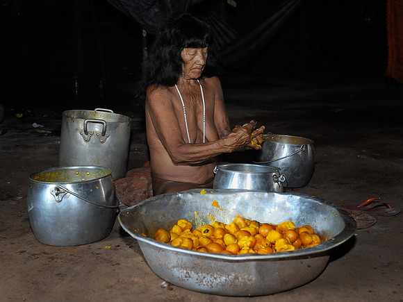 Preparing Pequi for festival
