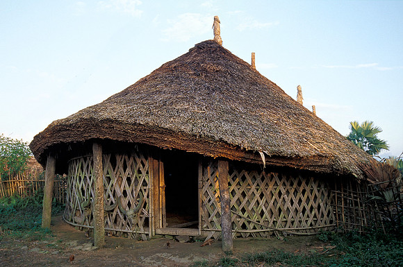 Village home