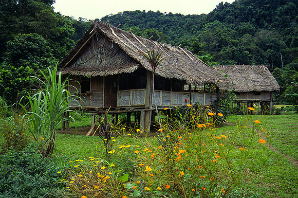 Sepik house