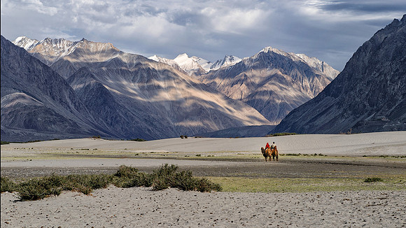 Camel Riders