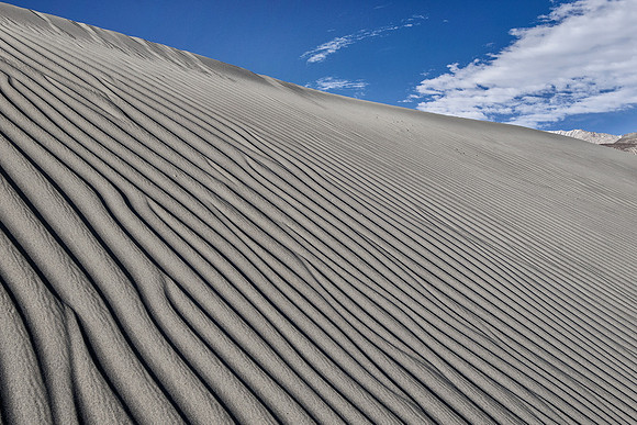 Sand Dune Nubra Valley