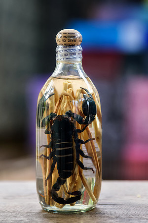Scorpion Infusion