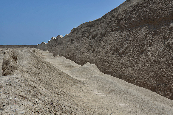 Coastal Desert