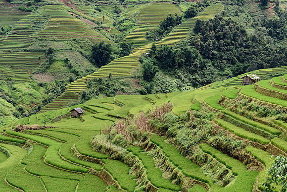 Yên Bái Province