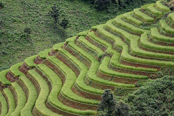 Yên Bái Province