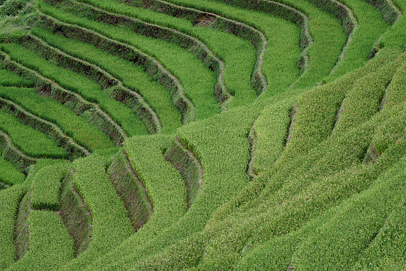 Yên Bái Province