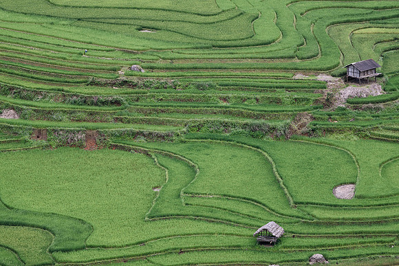 Yên Bái Province