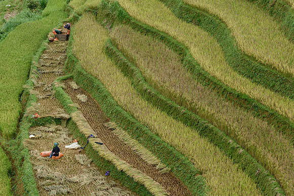 Yên Bái Province