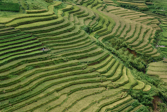 Yên Bái Province