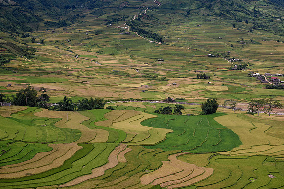 Yên Bái Province