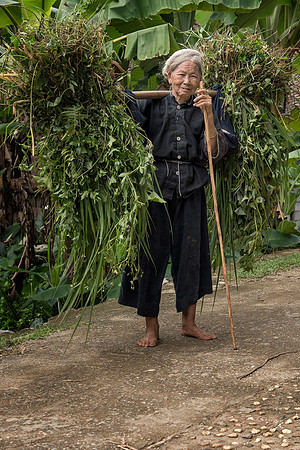 Nung Grandmother