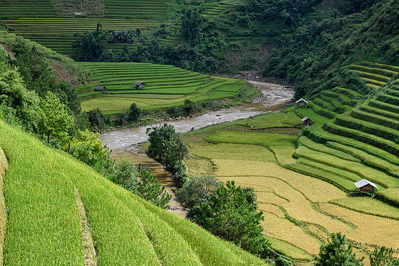 Valley Of Terraces