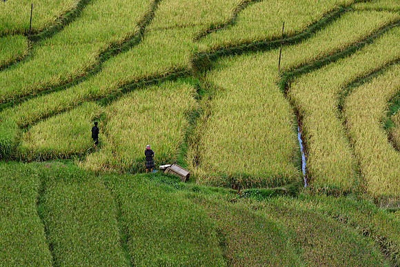 Yên Bái Province