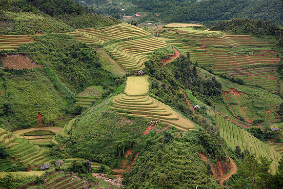 Yên Bái Province