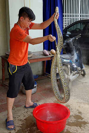 Boiling Water