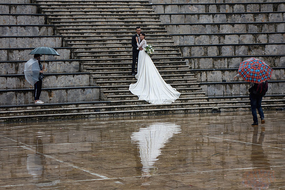 Rainy Reflections