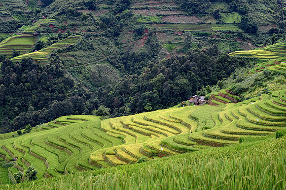 Yên Bái Province