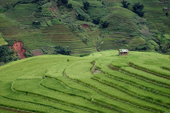 Yên Bái Province