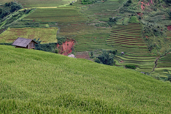 Yên Bái Province
