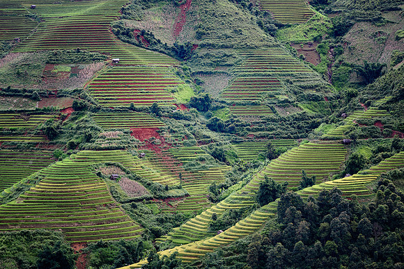 Yên Bái Province