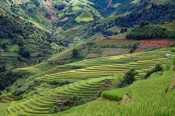 Yên Bái Province