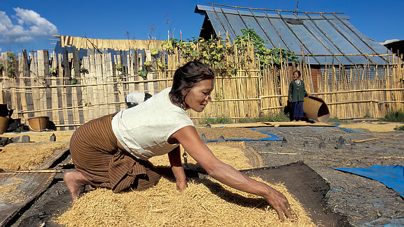 Drying grain