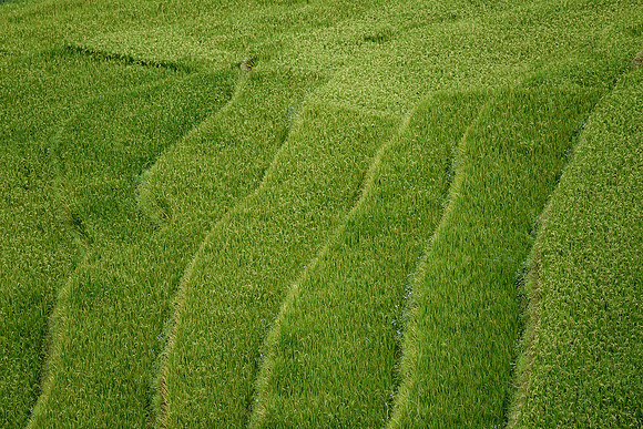 Yên Bái Province